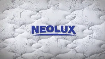 Презентация Neolux 1